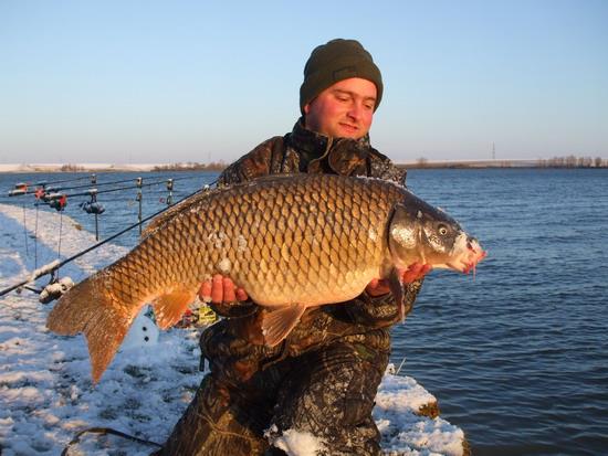 Din tainele campionilor - Vladut Mateianu